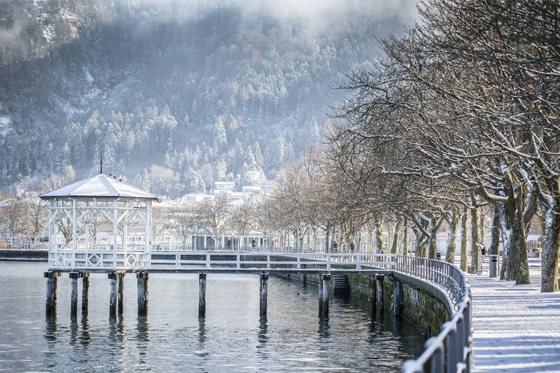 Bregenz im Winter © Petra Rainer (2).jpg